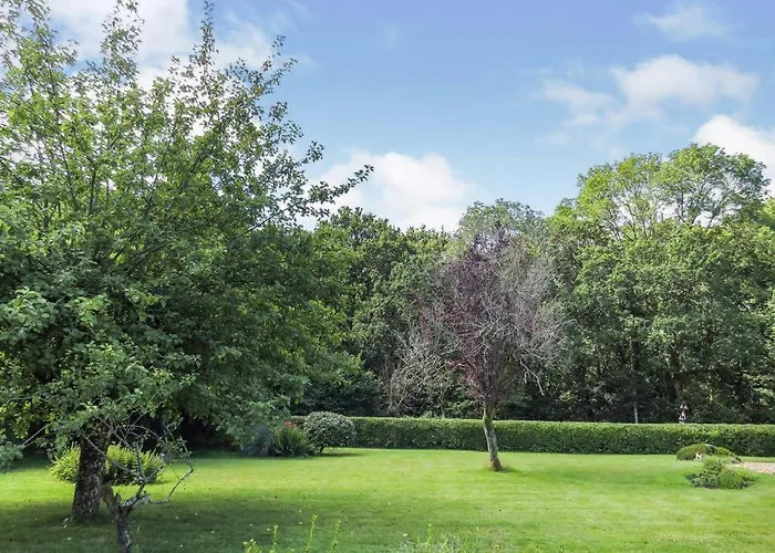 Woodland House B & B